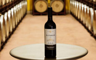 ¿Cómo elegir el mejor vino según el tipo de comida?